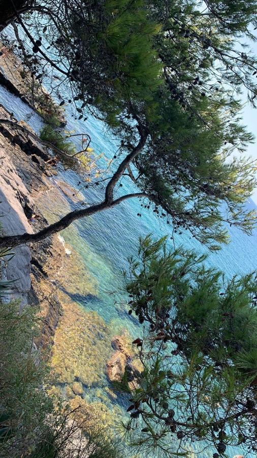 Bellissima Cervo Apartment Bagian luar foto